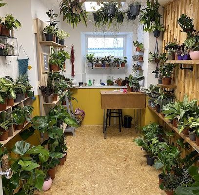 The Little Greenhouse