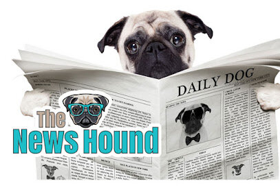 The News Hound